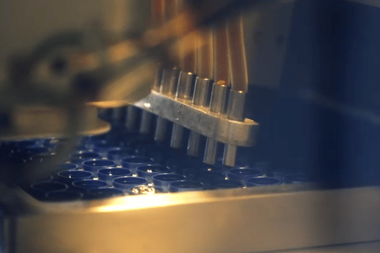 celsdose filling (1)