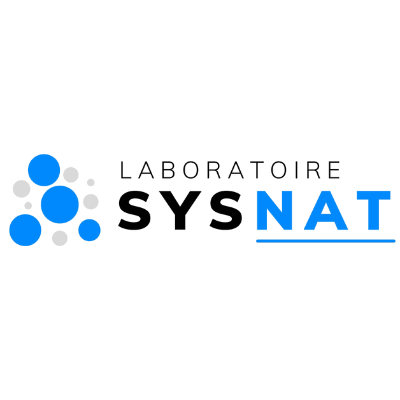 logo sysnat