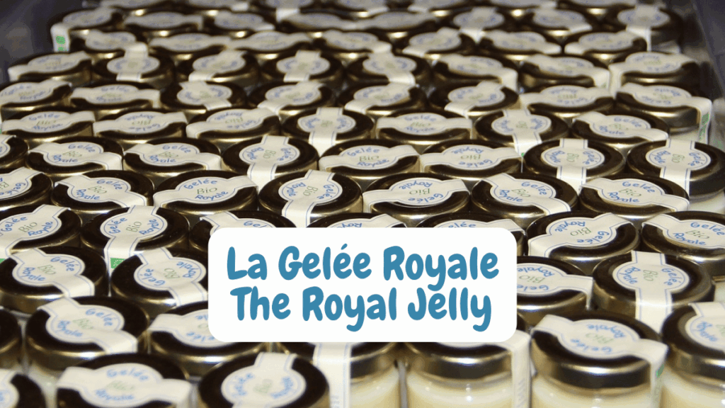 Royal Jelly Scientific Insights and Health Benefits from 30+ Years of Expertise