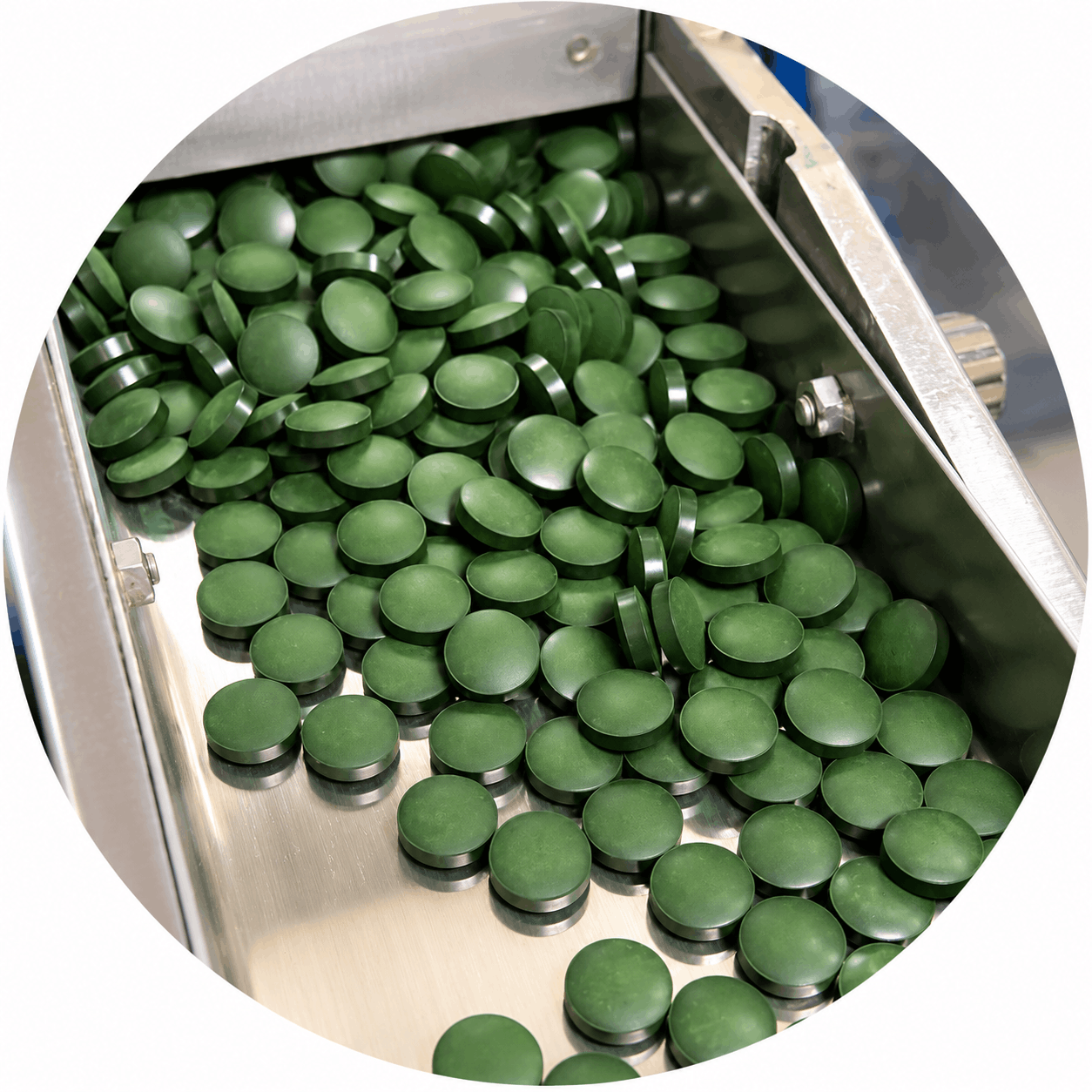Capsules tablets softgels gummies manufacturing